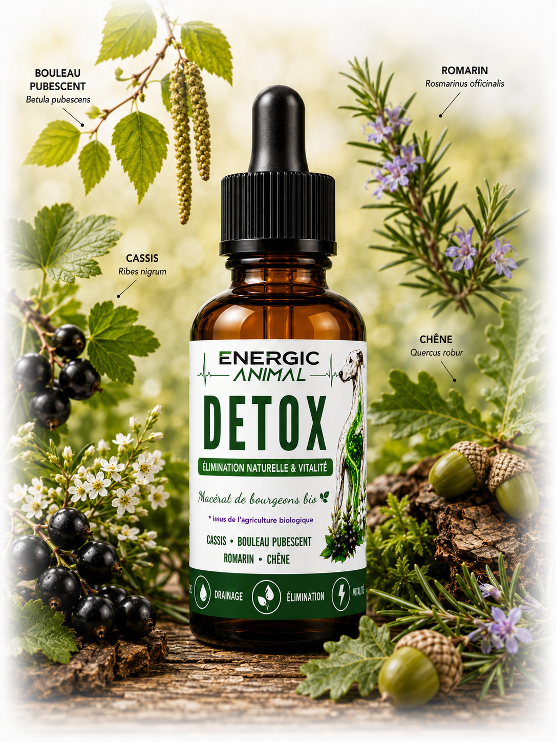 detox Drainage • Élimination