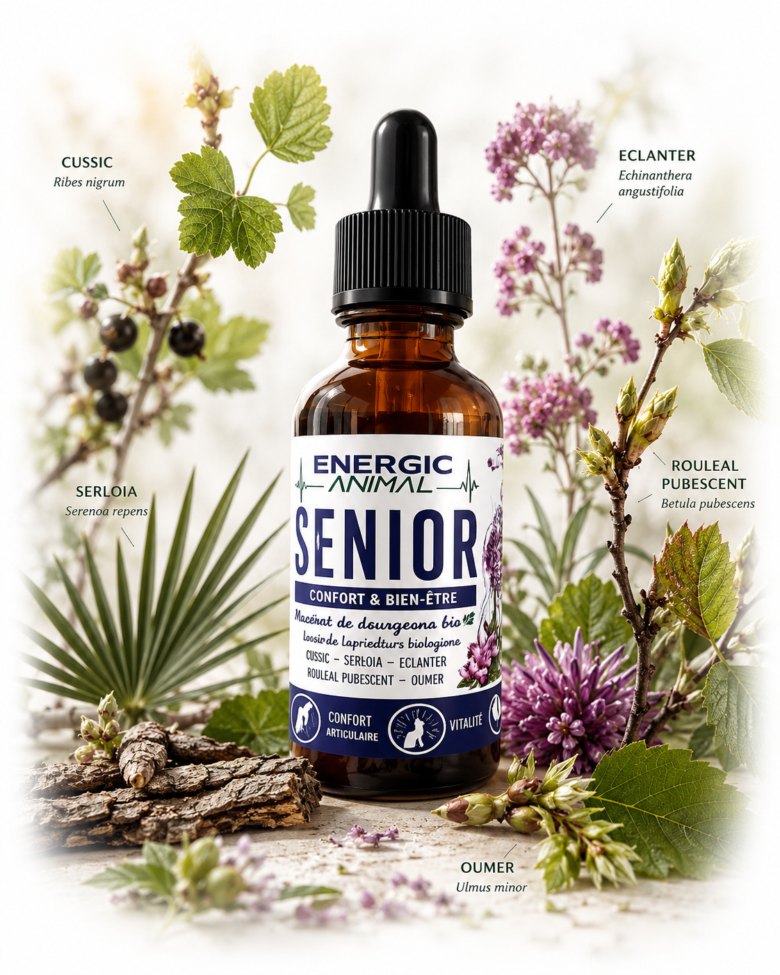 senior Vieillissement • Vitalité